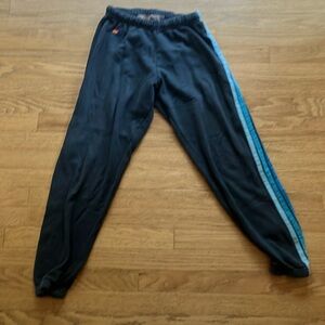 Aviator Nation Blue Stripe sweat pants